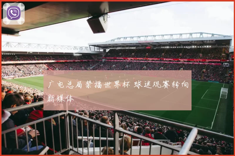 广电总局禁播世界杯 球迷观赛转向新媒体