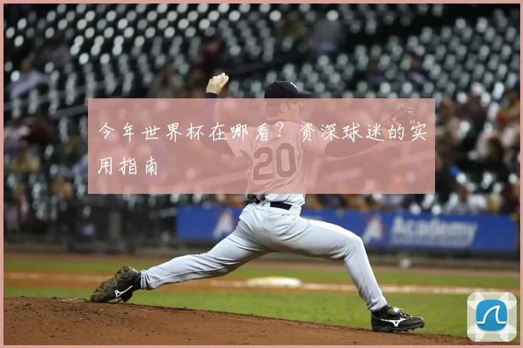 今年世界杯在哪看?资深球迷的实用指南
