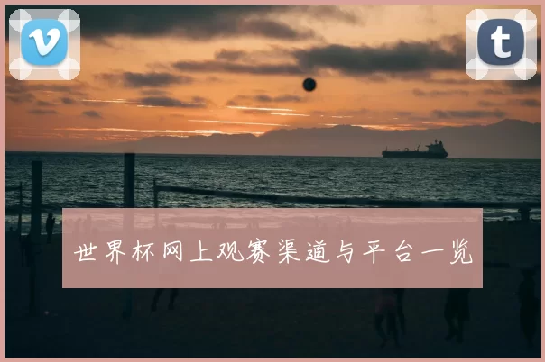 世界杯网上观赛渠道与平台一览