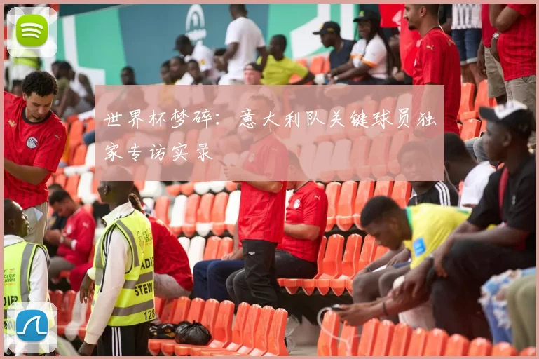 世界杯梦碎:意大利队关键球员独家专访实录