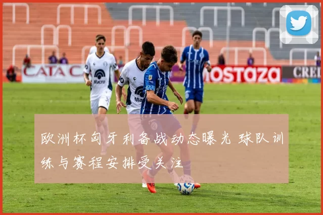 欧洲杯匈牙利备战动态曝光 球队训练与赛程安排受关注