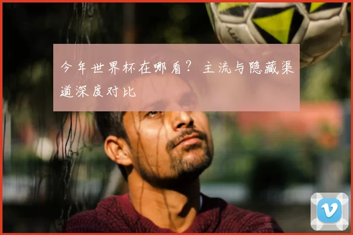 今年世界杯在哪看？主流与隐藏渠道深度对比