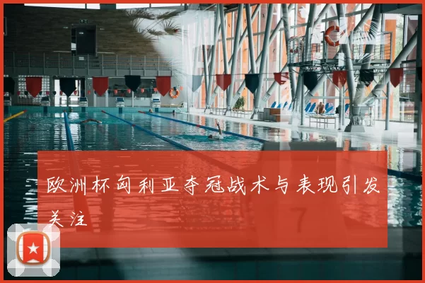 欧洲杯匈利亚夺冠战术与表现引发关注