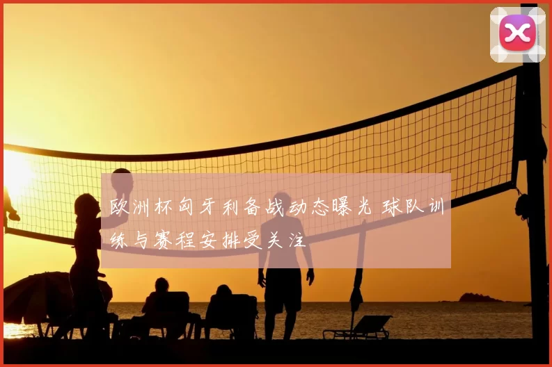 欧洲杯匈牙利备战动态曝光 球队训练与赛程安排受关注