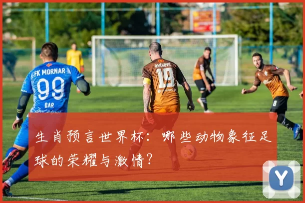 生肖预言世界杯:哪些动物象征足球的荣耀与激情?