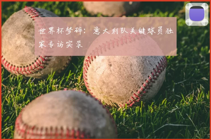 世界杯梦碎:意大利队关键球员独家专访实录