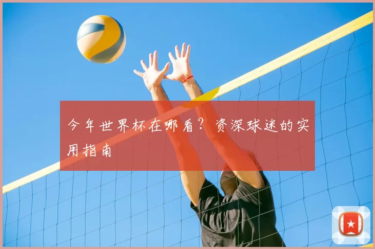 今年世界杯在哪看？资深球迷的实用指南