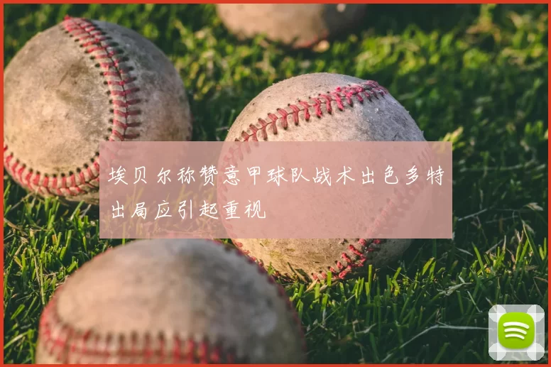 埃贝尔称赞意甲球队战术出色多特出局应引起重视
